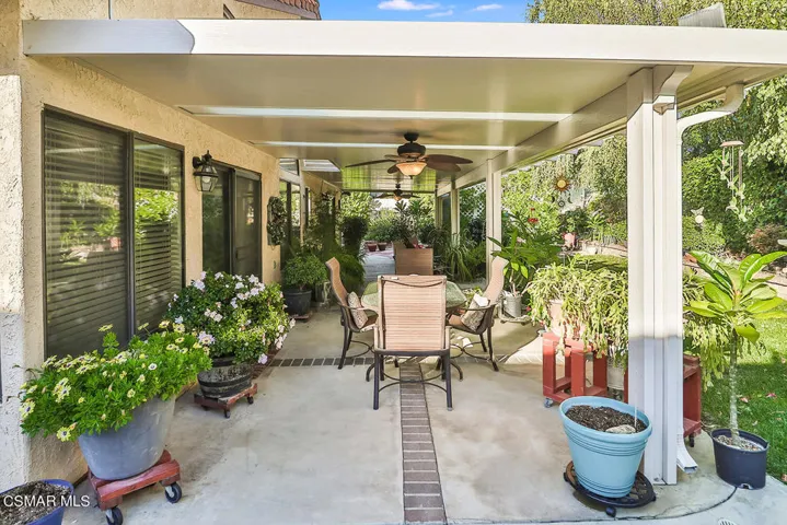 lBackyard4