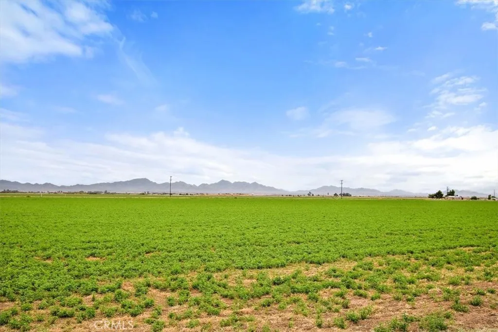 4251 N Intake Boulevard, Blythe, California 92225 home-pic-53
