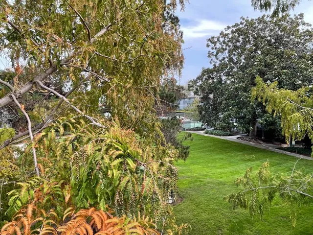 4140 George Avenue 2, San Mateo, California 94403
