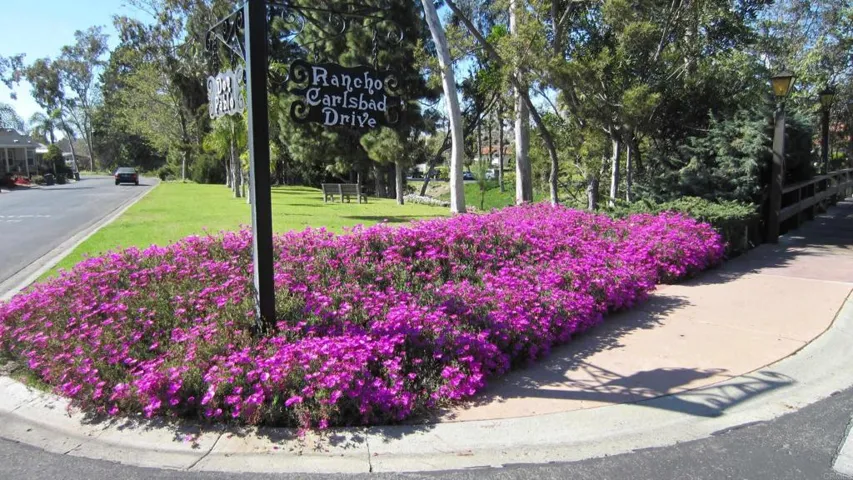 5110 Don Mata Drive, Carlsbad, California 92010