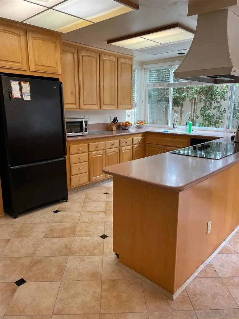 8206 Caminito Lacayo, California home-pic-4