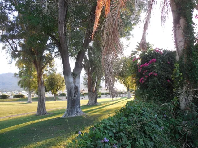 Golf Course Views