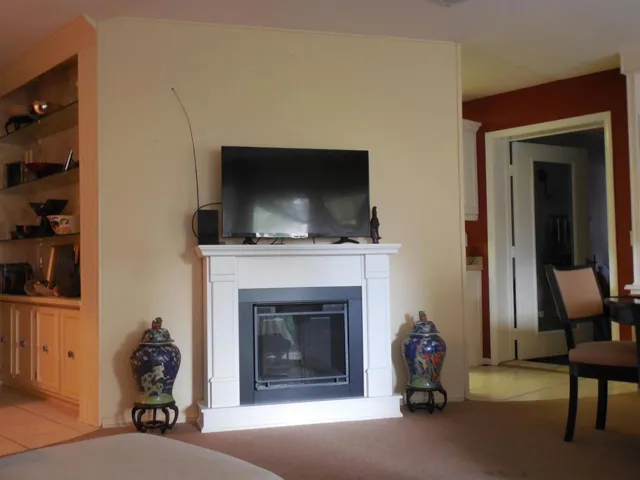 Living Room Fireplace