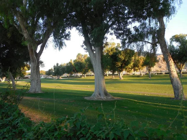 Golf Course Views