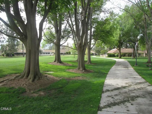 Village pathway