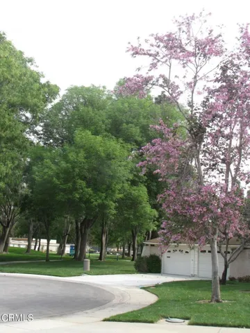 24125 Village pathways
