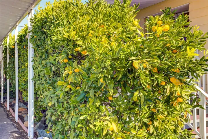 3960 S Higuera 44, San Luis Obispo, California 93401
