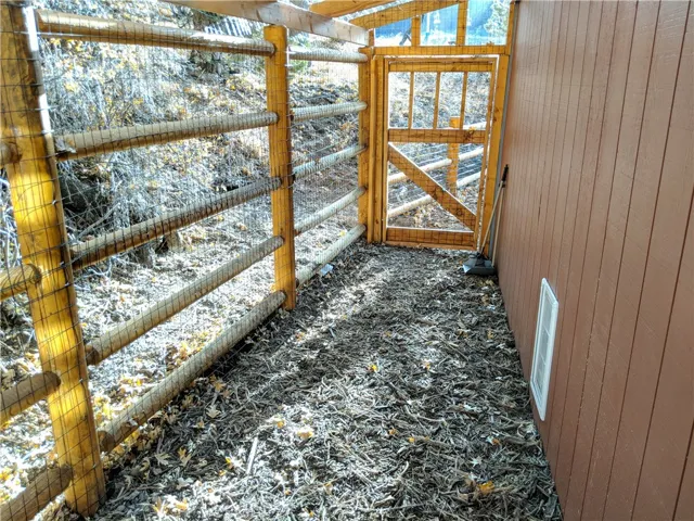dog run