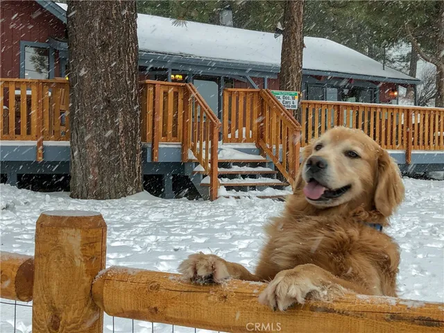 1417 Lassen Drive, Big Bear, California 92314