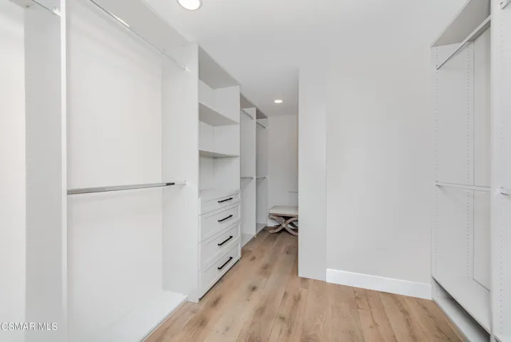Downstairs Master Closet