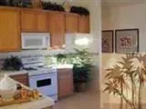 9555 Calle Barranca 3