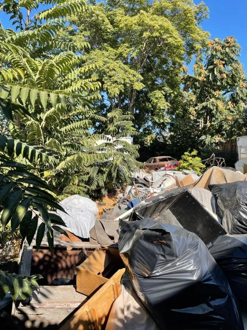 914 Harliss Avenue, San Jose, California 95110 home-pic-1