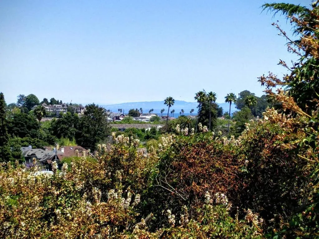 414 California Street, Santa Cruz, California 95060 home-pic-8