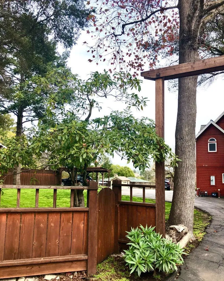 414 California Street, Santa Cruz, California 95060 home-pic-3
