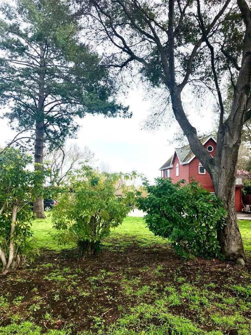 414 California Street, Santa Cruz, California 95060 home-pic-4
