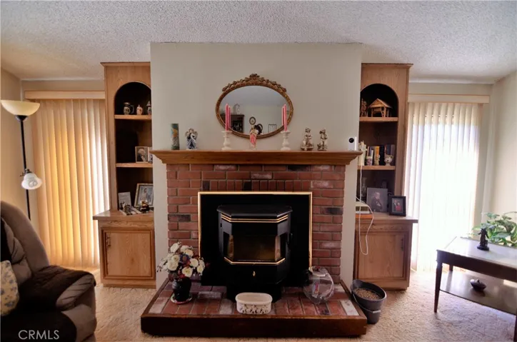 Pellet Stove In Front of Working Fire Place