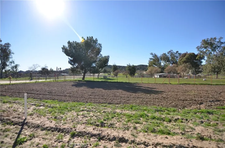 Large Garden Area