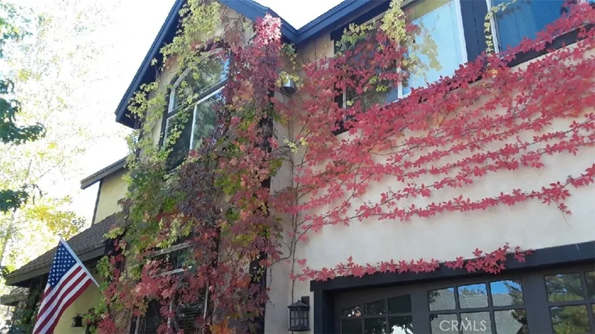 Fall at Teakwood
