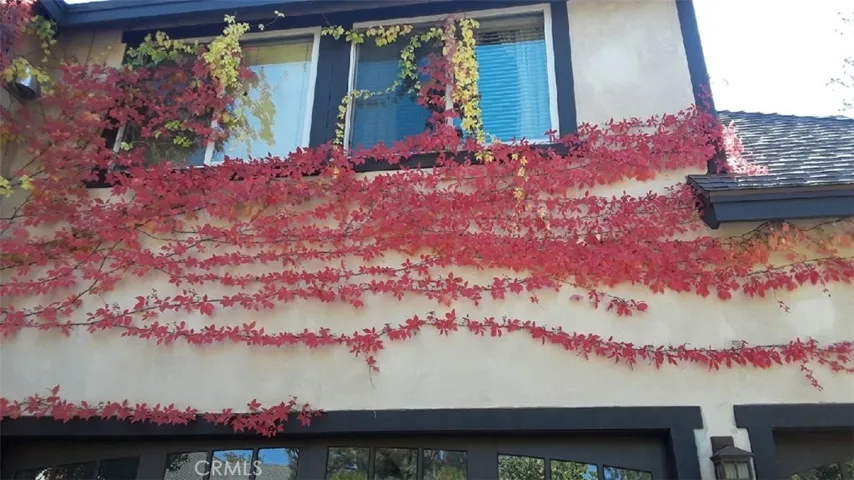 Fall at Teakwood