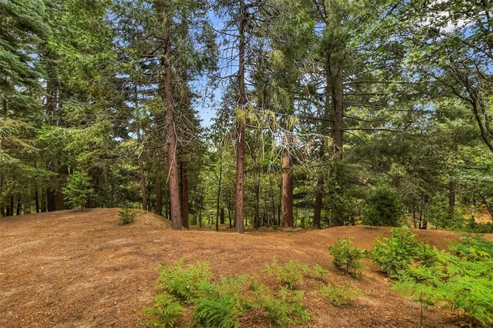 268 Cedarbrook Drive, Twin Peaks, California 92391