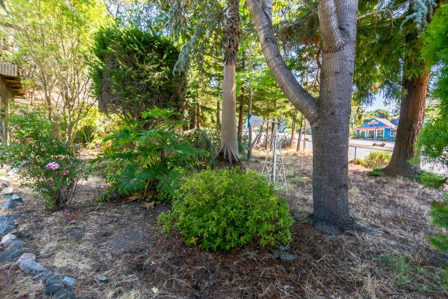 5035 Soquel Drive, Soquel, California 95073 home-pic-10