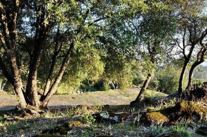 5801 Illilouette Falls Street, Mariposa, California 95338