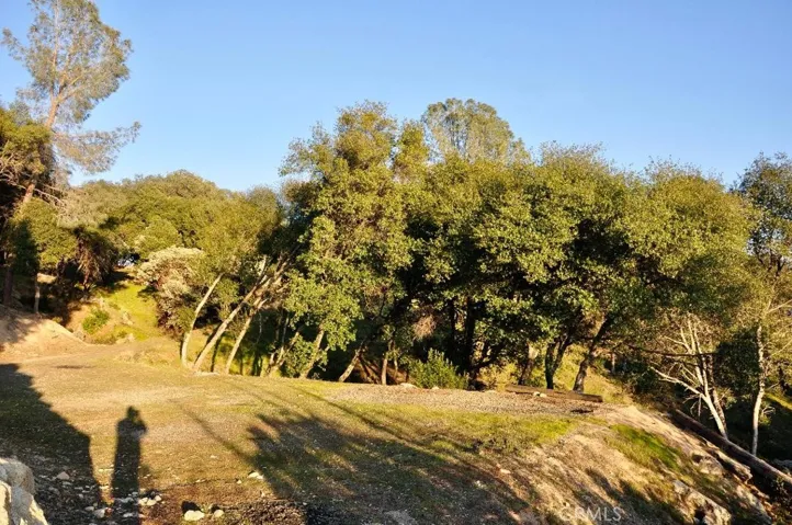 5801 Illilouette Falls Street, Mariposa, California 95338