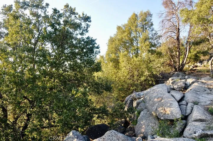 5801 Illilouette Falls Street, Mariposa, California 95338