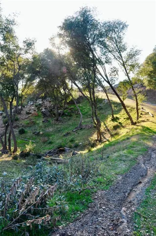 5801 Illilouette Falls Street, Mariposa, California 95338