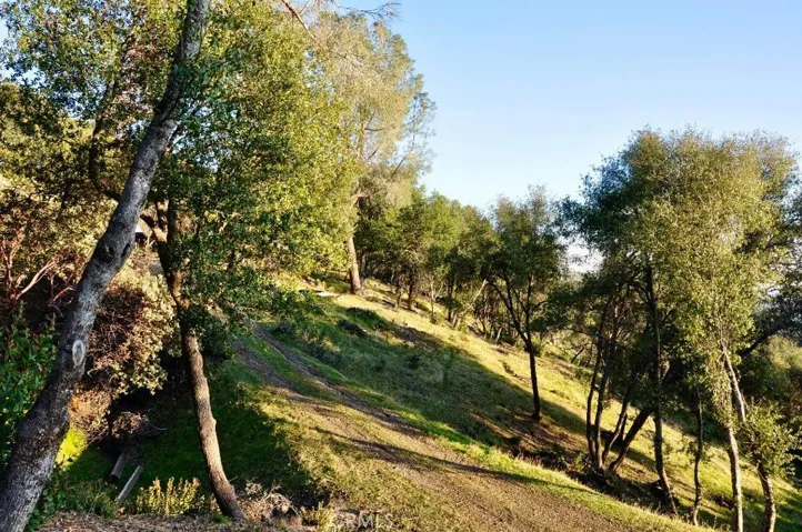 5801 Illilouette Falls Street, Mariposa, California 95338
