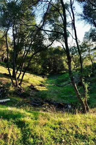 5801 Illilouette Falls Street, Mariposa, California 95338