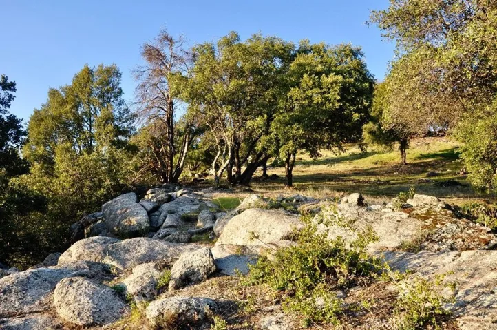 5801 Illilouette Falls Street, Mariposa, California 95338