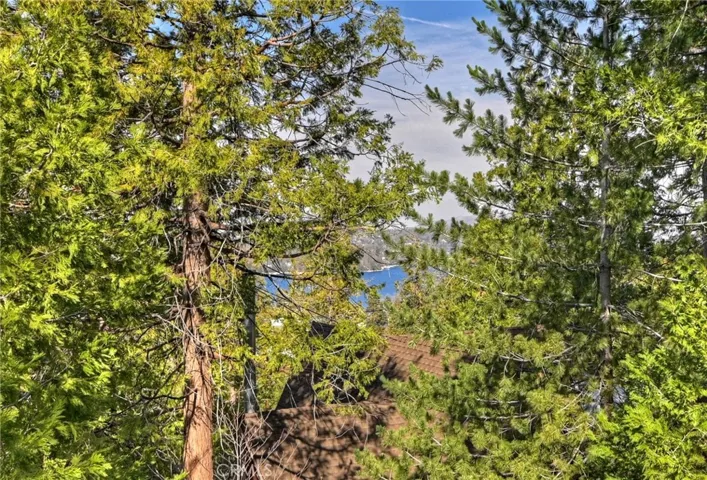 349 Castle Gate Road, Lake Arrowhead, California 92352