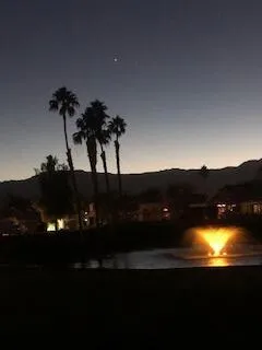 Evening view