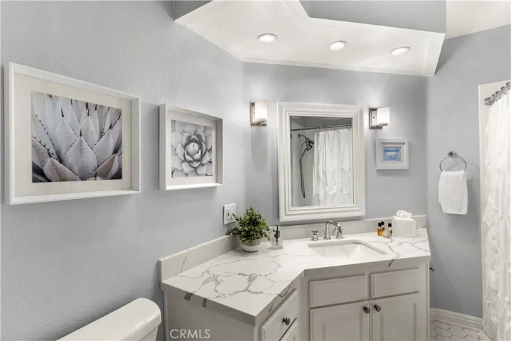 Hall bathroom. Recessed lighting, quartz countertop, ROHL faucets, New Tub & Shower Enclosure, Hexigon tile flooring.