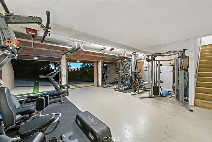 Professional Gym in Garage + Laundry Rm