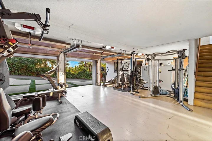 Professional Gym