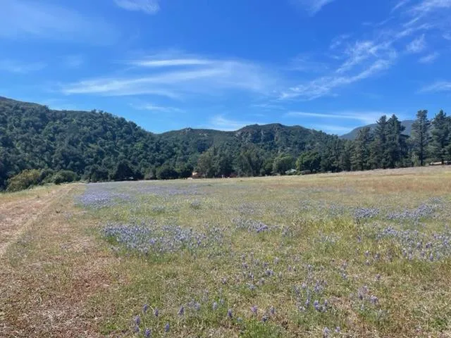 47291 Arroyo Seco Road, Greenfield, California 93927