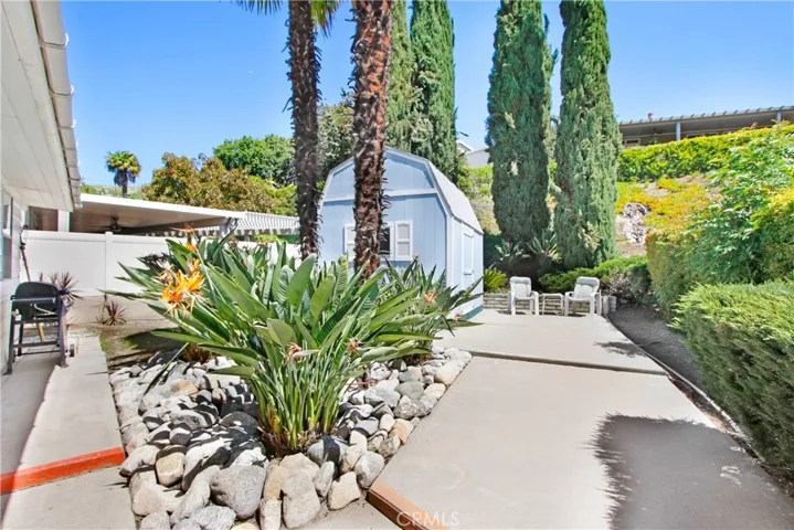 back yard