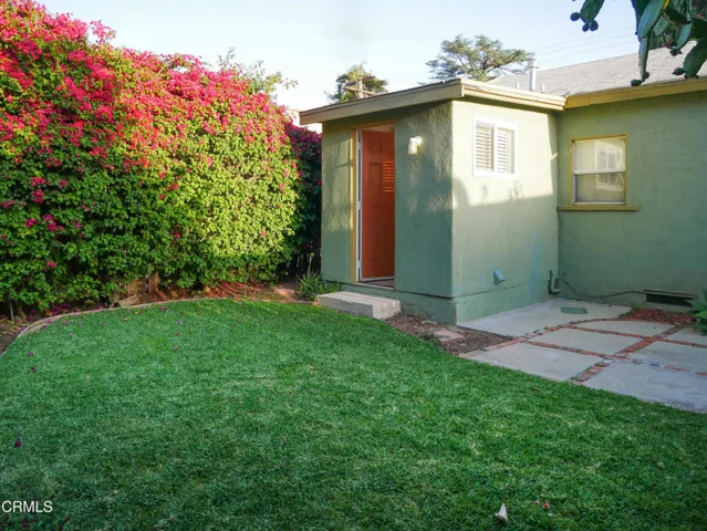 Back Yard 4