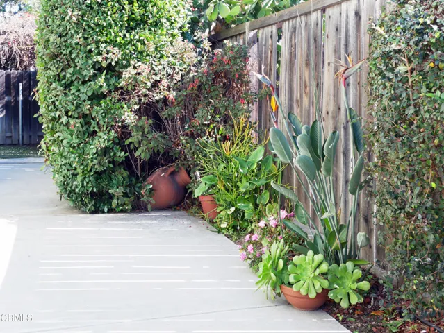 Walkway Garden
