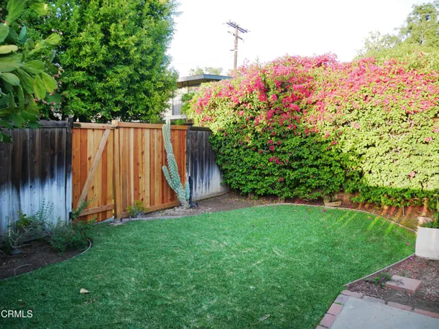 Back Yard 3