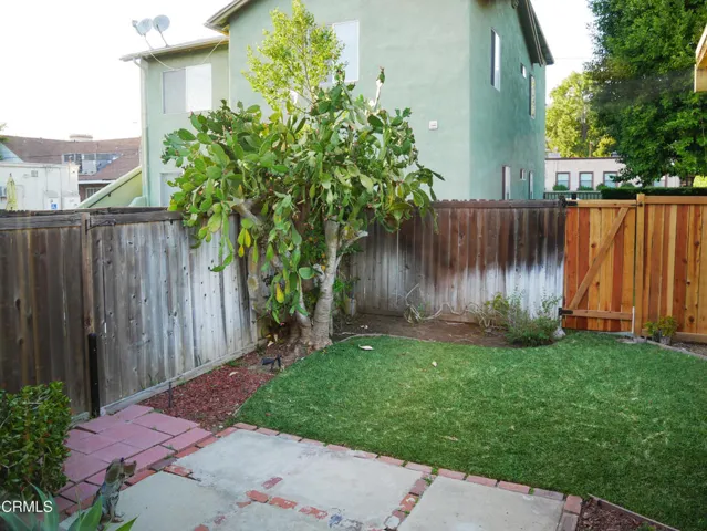 Back Yard 1