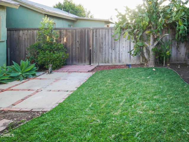 Back Yard 2