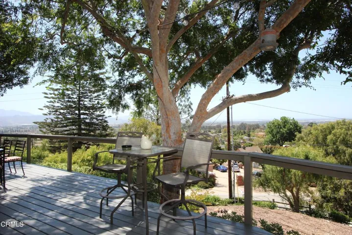 View of Tree from Deck