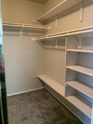 Master Suite Closet 2