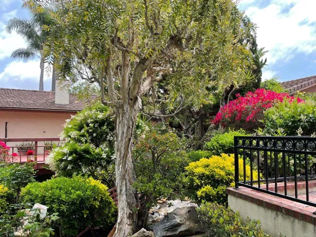 6147 Camino Selva, Rancho Santa Fe, California 92067