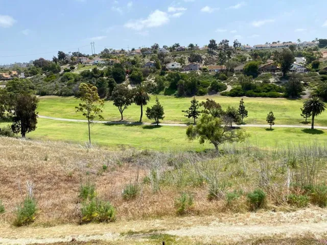 2164 Calle Buena Ventura, Oceanside, California 92056