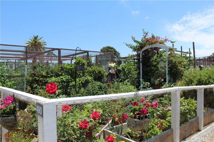 Gardening Plots for Veggies or Flowers