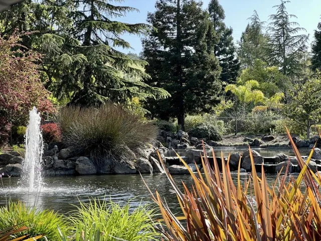 11792 Pine Brook Lane, Cupertino, California 95014